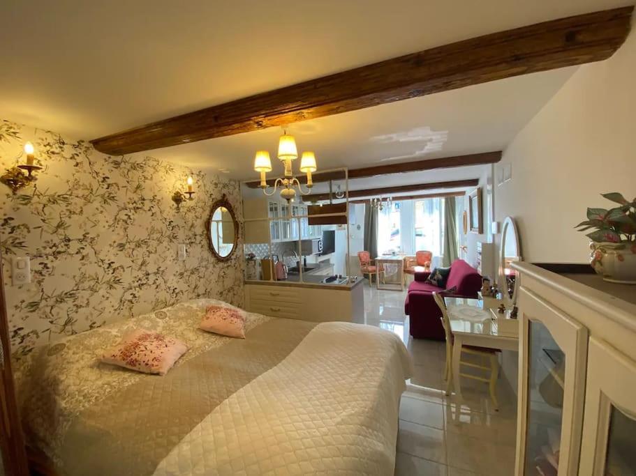 Apartamento Ravissant Shabby Chic Au Centre De Metz Exterior foto